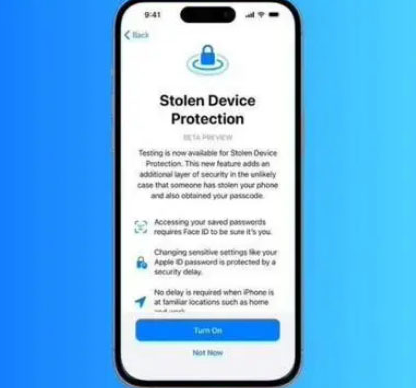 九江苹果授权维修店分享被盗设备保护功能开启方法 