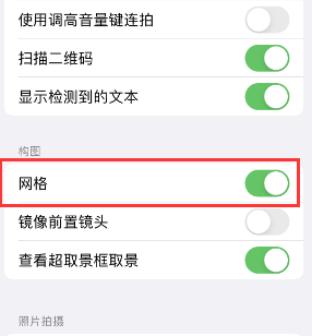 九江苹果手机维修网点分享iPhone如何开启九宫格构图功能 