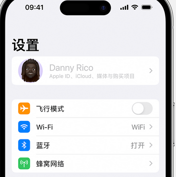 九江appleID维修服务iPhone设置中Apple ID显示为灰色无法使用 