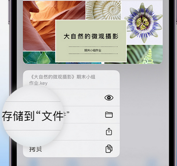 九江apple维修中心分享iPhone文件应用中存储和找到下载文件