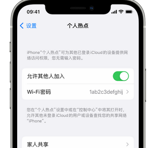 九江apple服务站点分享iPhone上个人热点丢失了怎么办 