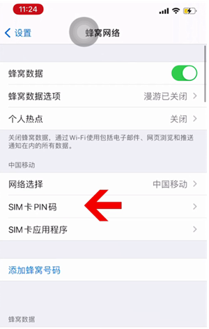 九江苹果14维修网分享如何给iPhone14的SIM卡设置密码 