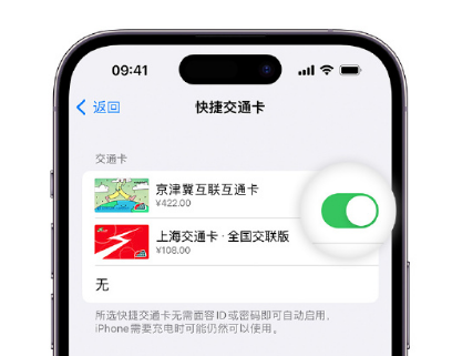 九江apple维修点分享iPhone上更换Apple Pay快捷交通卡手绘卡面 