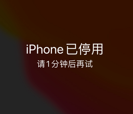 九江苹果手机维修分享:iPhone 显示“不可用”或“已停用”怎么办？还能保留数据吗？ 