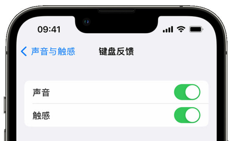 九江苹果手机维修分享iPhone 14触感键盘使用方法 