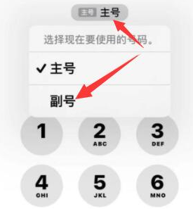 九江苹果14维修店分享iPhone 14 Pro Max使用副卡打电话的方法 