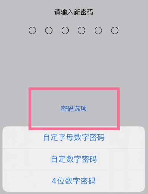 九江苹果14维修分享iPhone 14plus设置密码的方法 