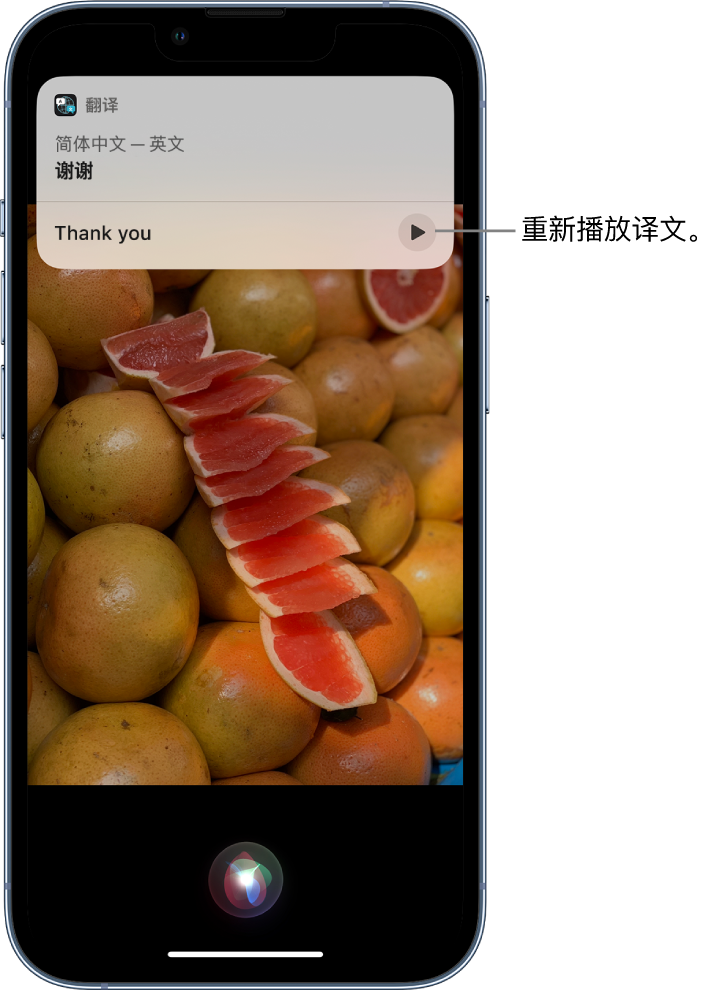 九江苹果14维修分享 iPhone 14 机型中使用 Siri：了解 Siri 能帮你做什么 