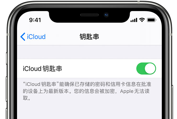 九江苹果手机维修分享在 iPhone 上开启 iCloud 钥匙串之后会储存哪些信息 